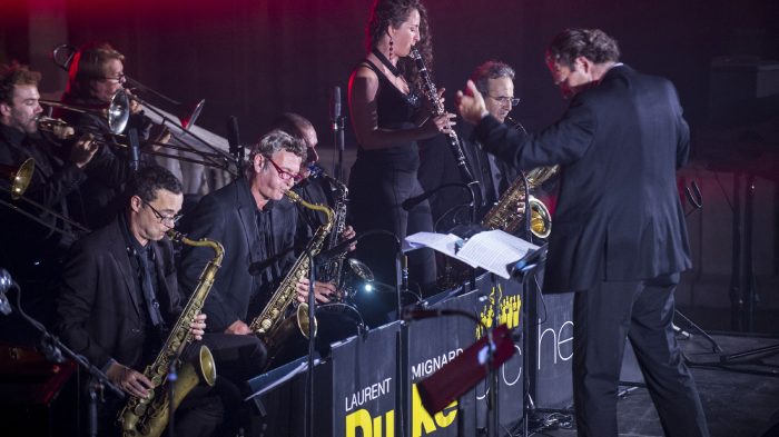 Multicolored Ellington © PascalBouclier