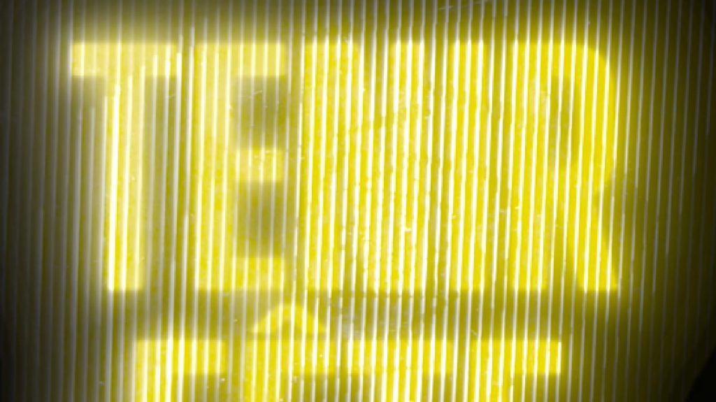 tenir fête Discobole